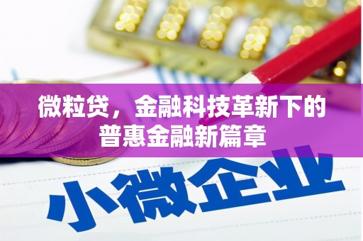 墨江微粒贷，金融科技革新下的普惠金融新篇章