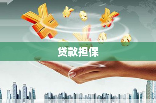 墨江贷款担保