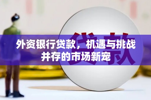 墨江外资银行贷款，机遇与挑战并存的市场新宠
