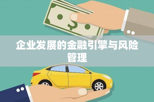 墨江企业发展的金融引擎与风险管理