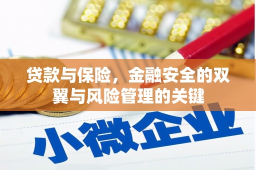 墨江贷款与保险，金融安全的双翼与风险管理的关键