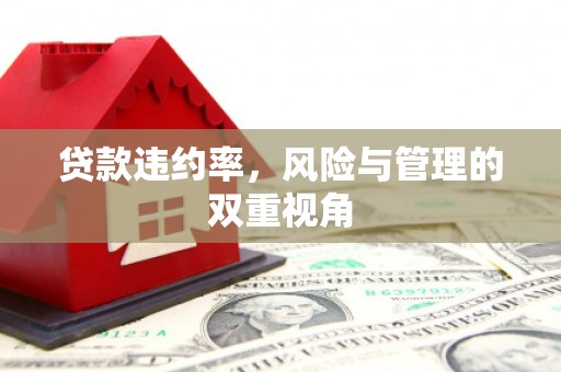 墨江贷款违约率，风险与管理的双重视角