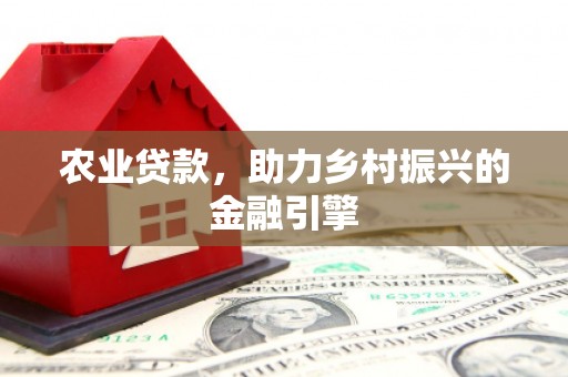 墨江农业贷款，助力乡村振兴的金融引擎