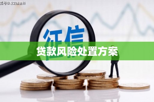 墨江贷款风险处置方案
