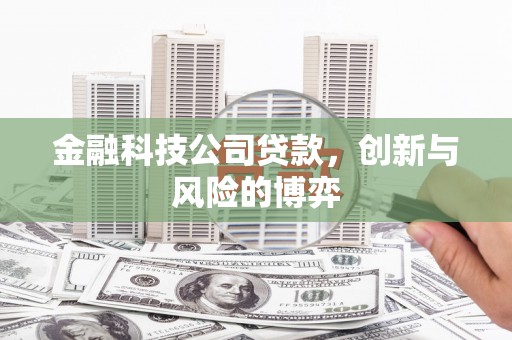 墨江金融科技公司贷款，创新与风险的博弈