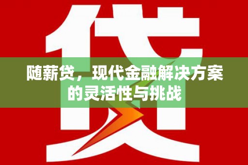 墨江随薪贷，现代金融解决方案的灵活性与挑战