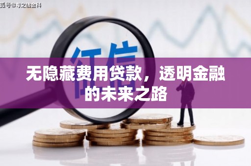 墨江无隐藏费用贷款，透明金融的未来之路