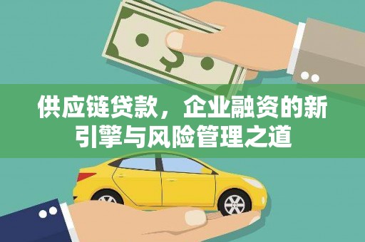 墨江供应链贷款，企业融资的新引擎与风险管理之道