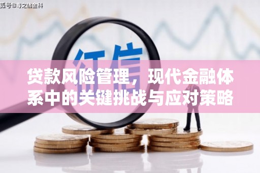 墨江贷款风险管理，现代金融体系中的关键挑战与应对策略