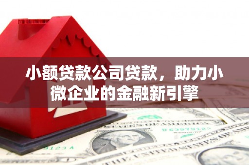 墨江小额贷款公司贷款，助力小微企业的金融新引擎