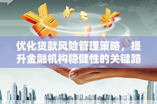 墨江优化贷款风险管理策略，提升金融机构稳健性的关键路径