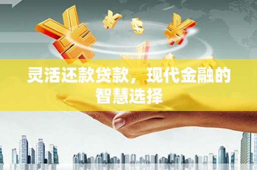 墨江灵活还款贷款，现代金融的智慧选择