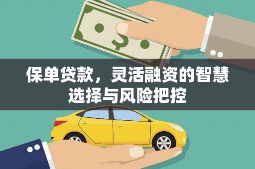墨江保单贷款，灵活融资的智慧选择与风险把控