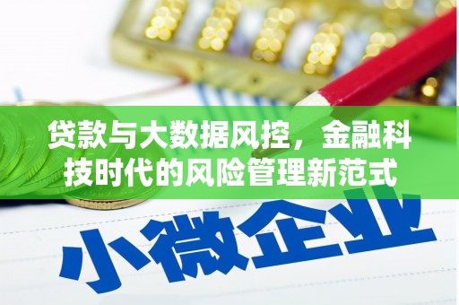墨江贷款与大数据风控，金融科技时代的风险管理新范式