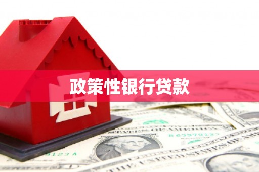 墨江政策性银行贷款