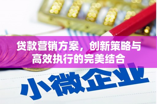 墨江贷款营销方案，创新策略与高效执行的完美结合