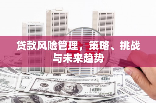 墨江贷款风险管理，策略、挑战与未来趋势