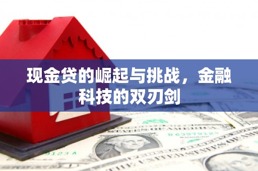 墨江现金贷的崛起与挑战，金融科技的双刃剑