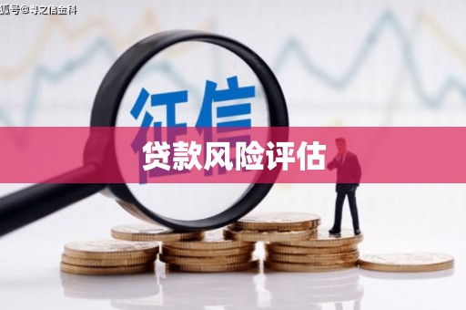 墨江贷款风险评估