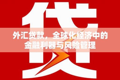 墨江外汇贷款，全球化经济中的金融利器与风险管理