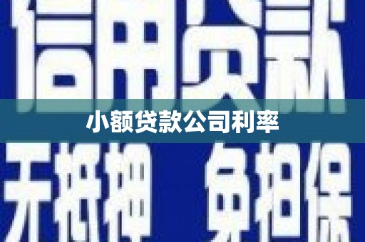 墨江小额贷款公司利率