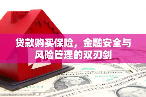 墨江贷款购买保险，金融安全与风险管理的双刃剑
