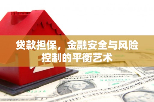 墨江贷款担保，金融安全与风险控制的平衡艺术