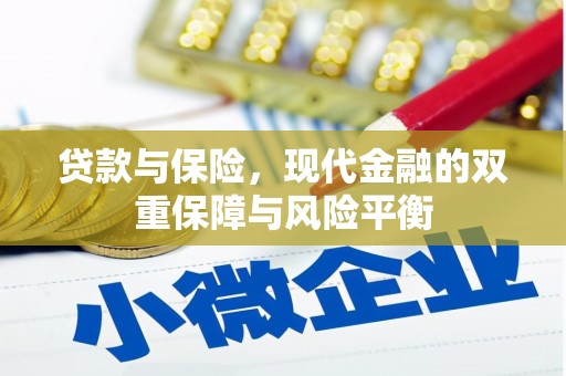 墨江贷款与保险，现代金融的双重保障与风险平衡