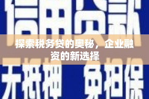 墨江探索税务贷的奥秘，企业融资的新选择