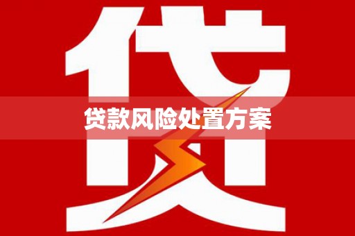 墨江贷款风险处置方案