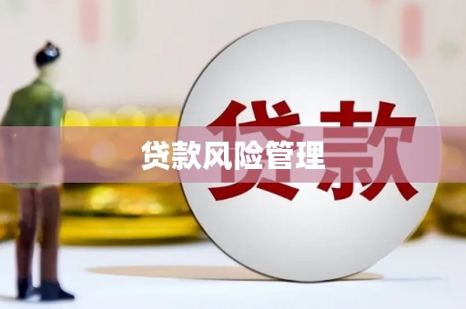墨江贷款风险管理