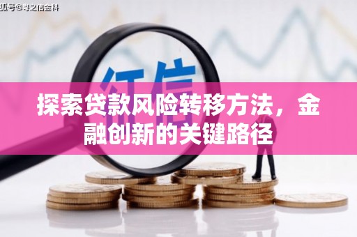 墨江探索贷款风险转移方法，金融创新的关键路径