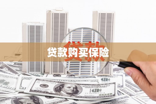 墨江贷款购买保险