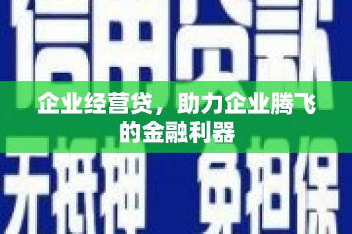 墨江企业经营贷，助力企业腾飞的金融利器