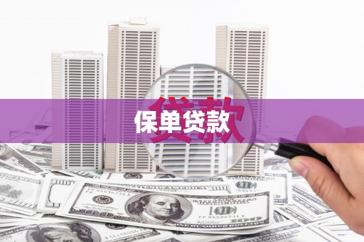 墨江保单贷款