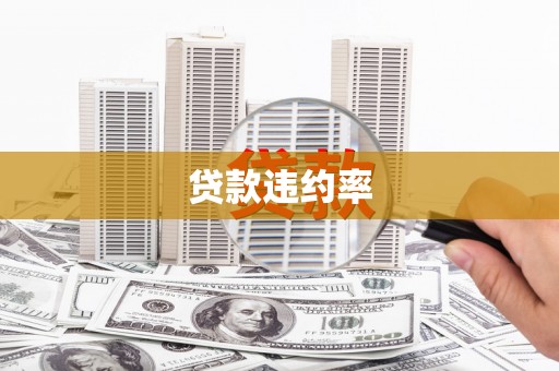 墨江贷款违约率