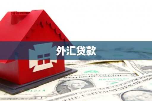 墨江外汇贷款