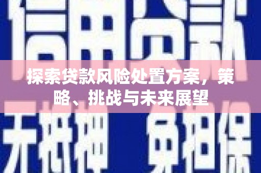 墨江探索贷款风险处置方案，策略、挑战与未来展望