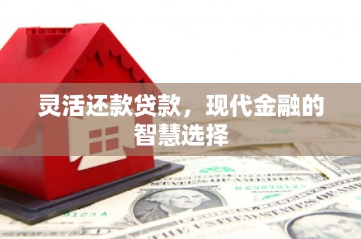 墨江灵活还款贷款，现代金融的智慧选择