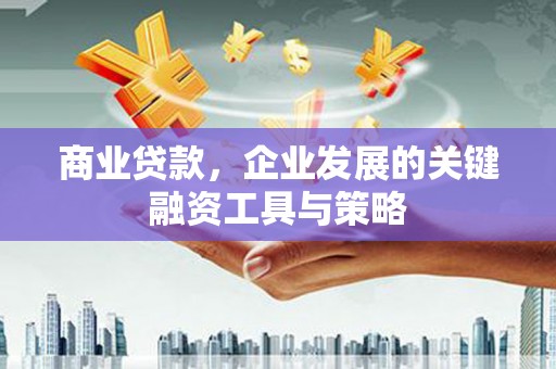 墨江商业贷款，企业发展的关键融资工具与策略