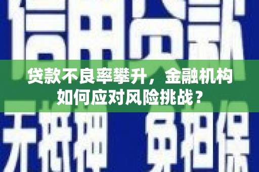 墨江贷款不良率攀升，金融机构如何应对风险挑战？