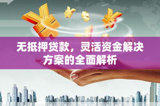 墨江无抵押贷款，灵活资金解决方案的全面解析