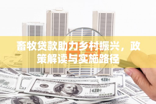 墨江畜牧贷款助力乡村振兴，政策解读与实施路径