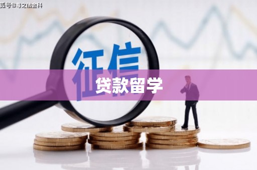 墨江贷款留学