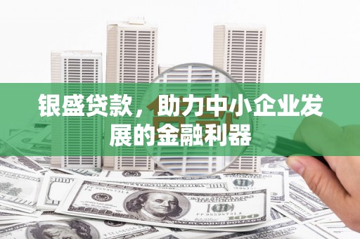 墨江银盛贷款，助力中小企业发展的金融利器