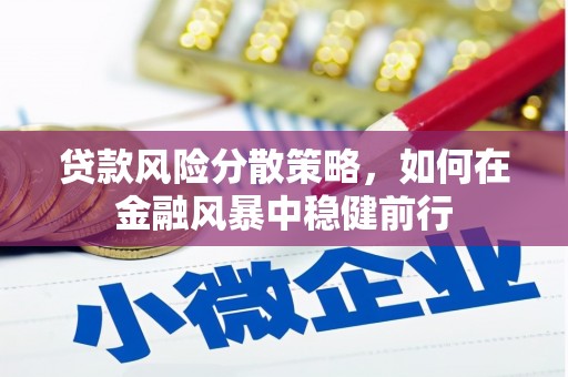 墨江贷款风险分散策略，如何在金融风暴中稳健前行