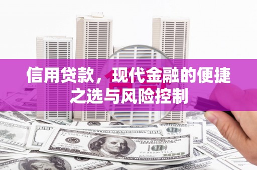墨江信用贷款，现代金融的便捷之选与风险控制