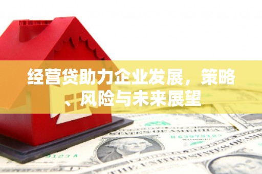 墨江经营贷助力企业发展，策略、风险与未来展望