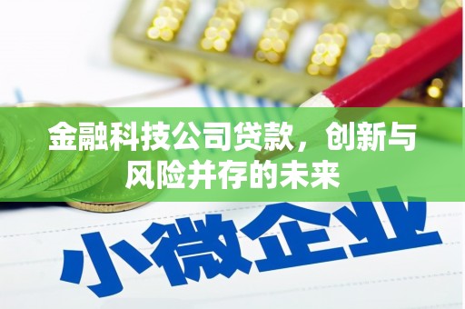 墨江金融科技公司贷款，创新与风险并存的未来