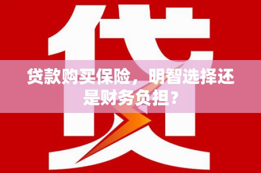 墨江贷款购买保险，明智选择还是财务负担？